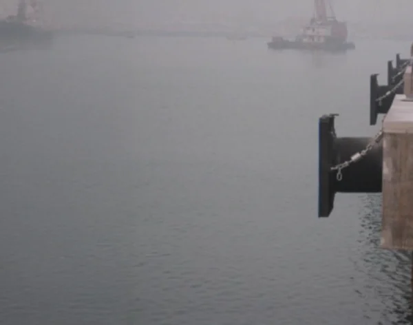 Best Cell Fender Suppliers in UAE/GCC/MEA