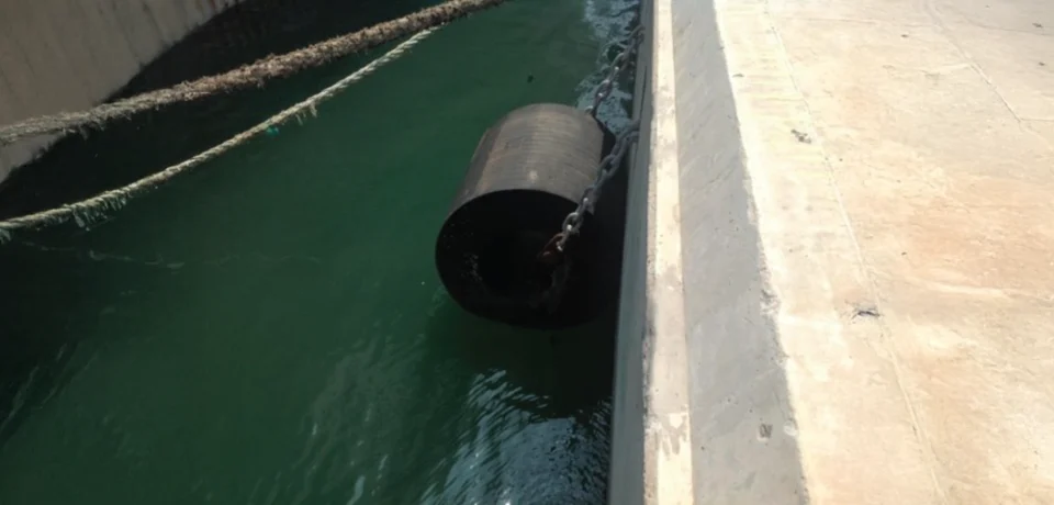 Best Cylindrical Fender Suppliers in UAE/GCC/MEA