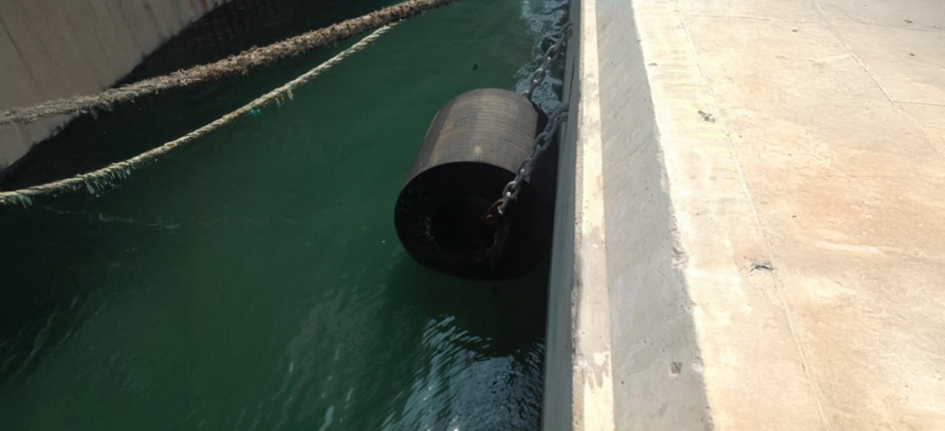 Best Cylindrical Fender Suppliers in UAE/GCC/MEA