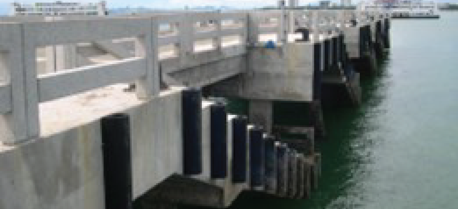 Best DD and DC Fender Suppliers in UAE/GCC/MEA